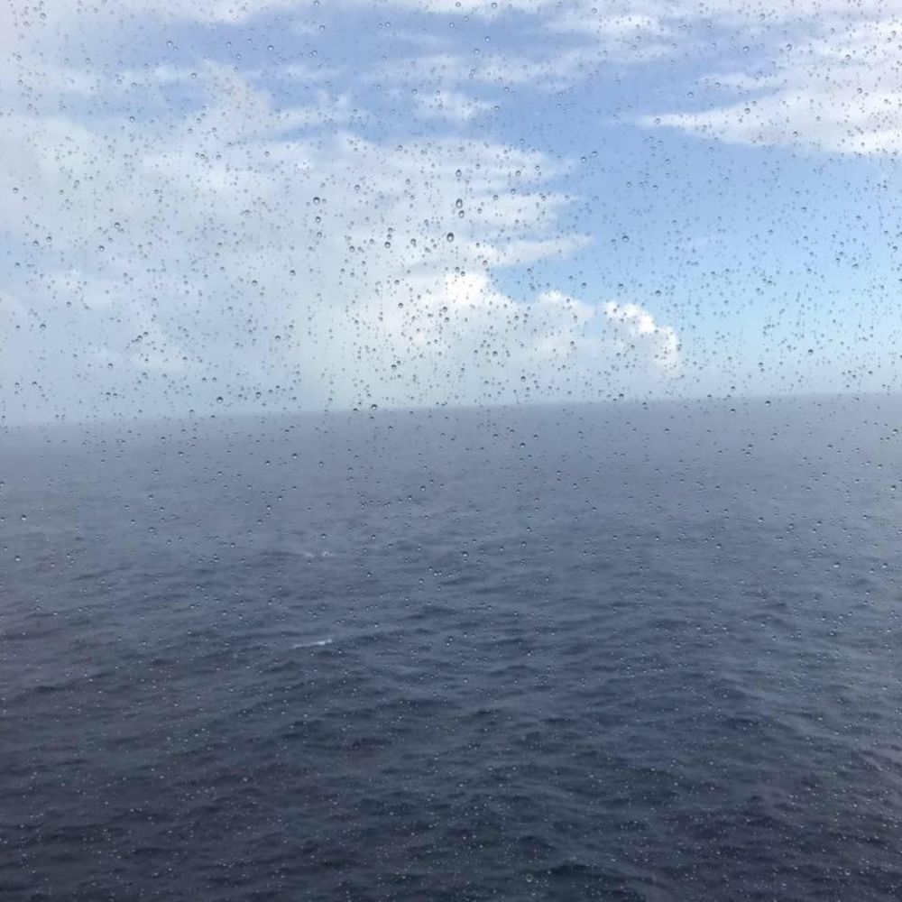 Meet your Posher, Ginnie